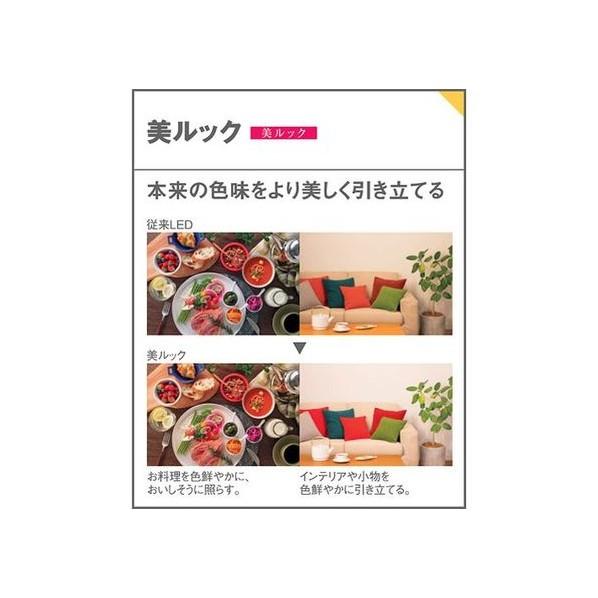 ホームアーキ 建築化照明器具 美ルック・拡散 調光タイプ(ライコン別売) 幅30×長1199×高62mm 【HOTALUX】 SLB50669LB1