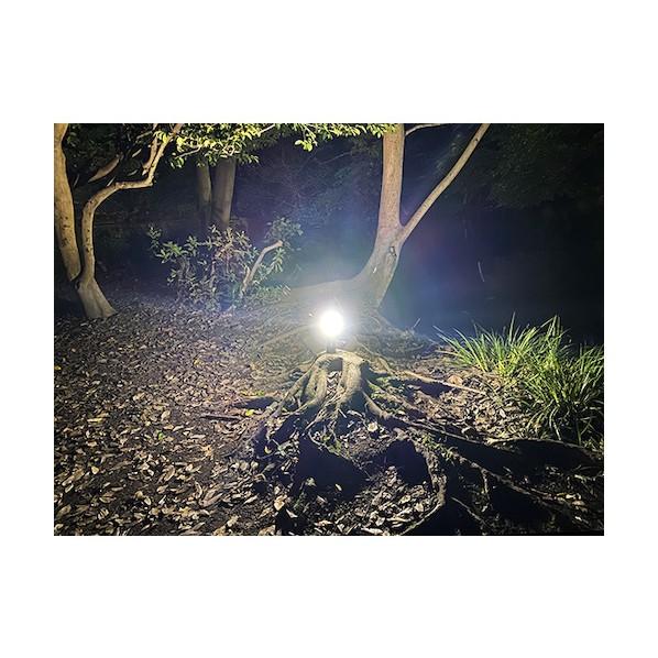 マイケル・ジョンソン陸上スーパースター直筆サイン伝記本&フィギュア マイケル・ジョンソン陸上スーパースター直筆サイン伝記本&フィギュア