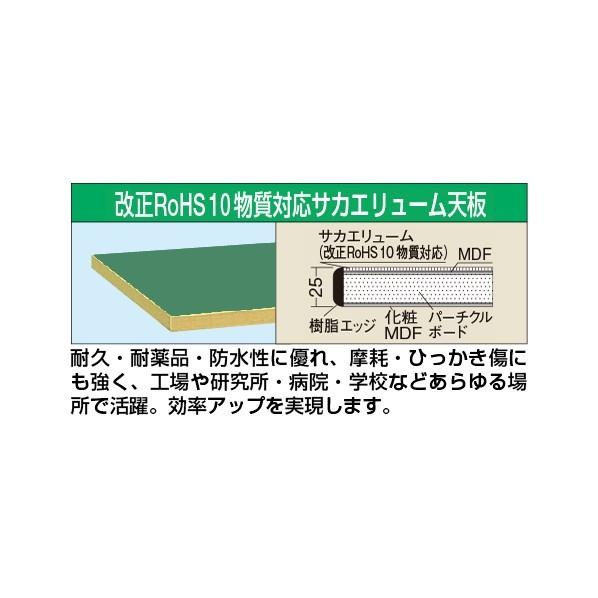 サカエ 作業台オプション天板 中量用天板 グリーン 1200×600×25mm KT-1260FTENC