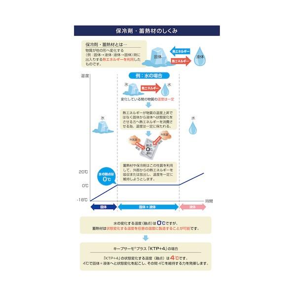 サンユー印刷 キープサーモプラス（潜熱蓄熱材） KTP＋20ー290 20℃用 290G 10個入 KTP+20-290-10_2