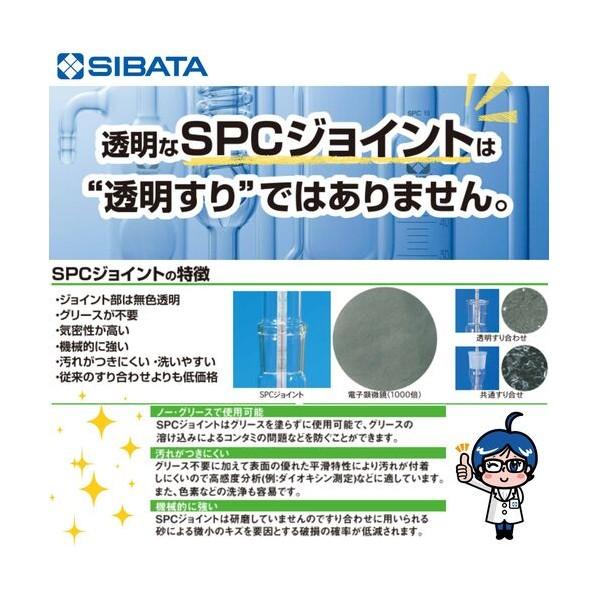 柴田科学 SPC二口梨形フラスコ 25mL 030160-1525 1個の画像