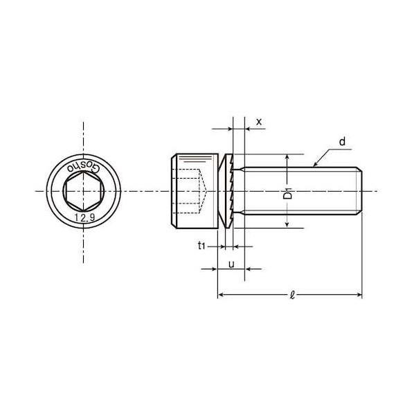GT-CAP (SA) 16 X 50 A0-00-GTSA-0160-0500-00 【アジャスター】