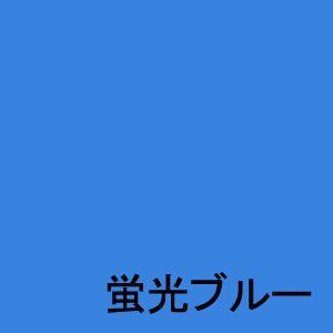 シンロイヒ ルミノサインスイセイ水性蛍光塗料 蛍光ブルー 4L|diy-tool|02