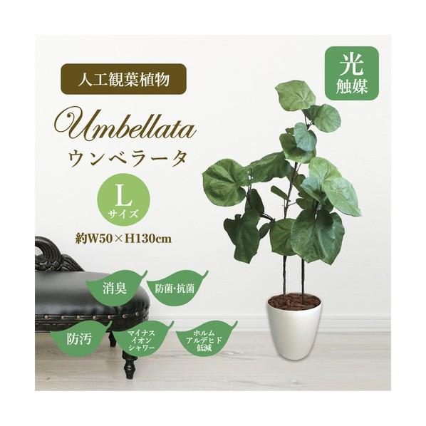 ササガワ 人工観葉植物 ウンベラータ Lサイズ 32-8722 1個_1