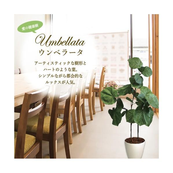 ササガワ 人工観葉植物 ウンベラータ Lサイズ 32-8722 1個_2