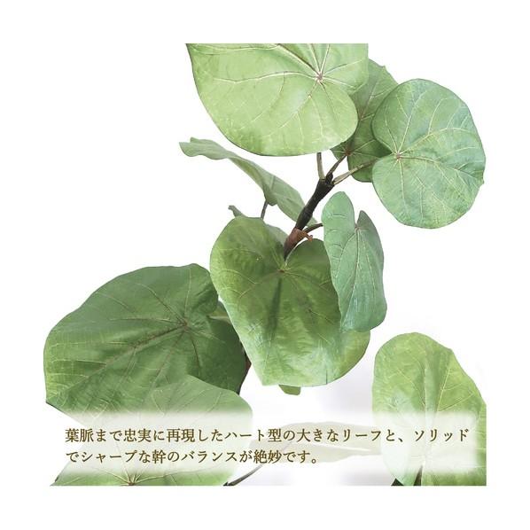 ササガワ 人工観葉植物 ウンベラータ Lサイズ 32-8722 1個_3