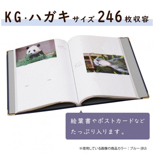 セキセイ ハーパーハウス レミニッセンス カケルアルバム(ハガキ