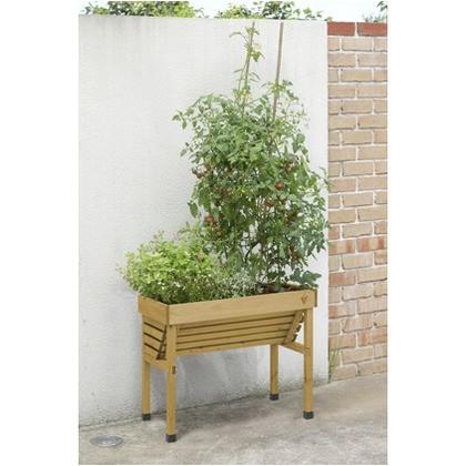 タカショー ホームベジトラグ コンパクトスリム ナチュラル 約幅77cm×奥行き46cm×高さ63cm VGT-WH04 ベジトラグ 0 |  | 02