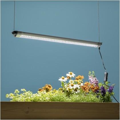 【新品】タカショー・グローライト3点セット 新品】タカショー・グローライト3点セット