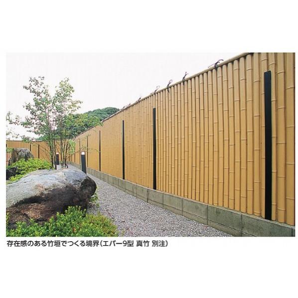 タカショー - 竹垣用せん孔機螺旋釘 竹用象牙色 4×50粍(半螺旋釘) 結核症-50E