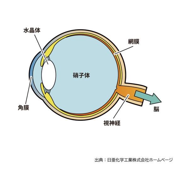 山田照明 デスクライト Zライト ブラック Z-90-B 1個_4