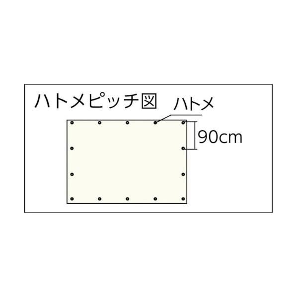 ユタカメイク ODグリーンシート #3000 5.4m&times;5.4m OGS-13 1枚