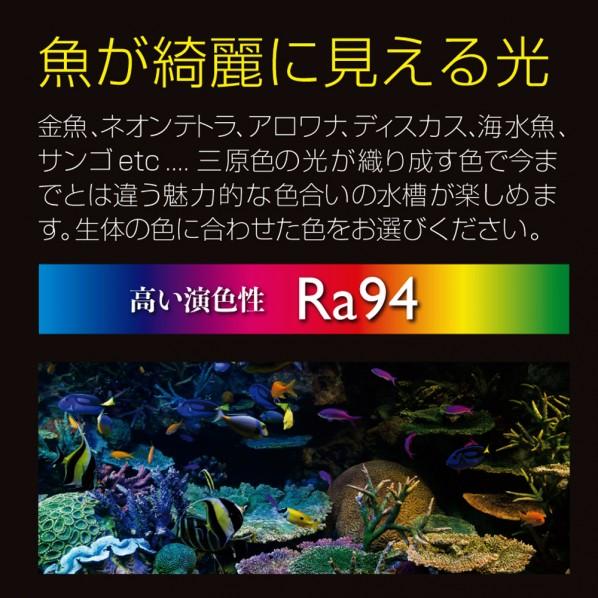 ゼンスイ ZENSUI マルチカラーLEDII 900の画像