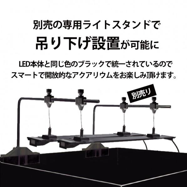 ゼンスイ ZENSUI マルチカラーLEDII 900の画像