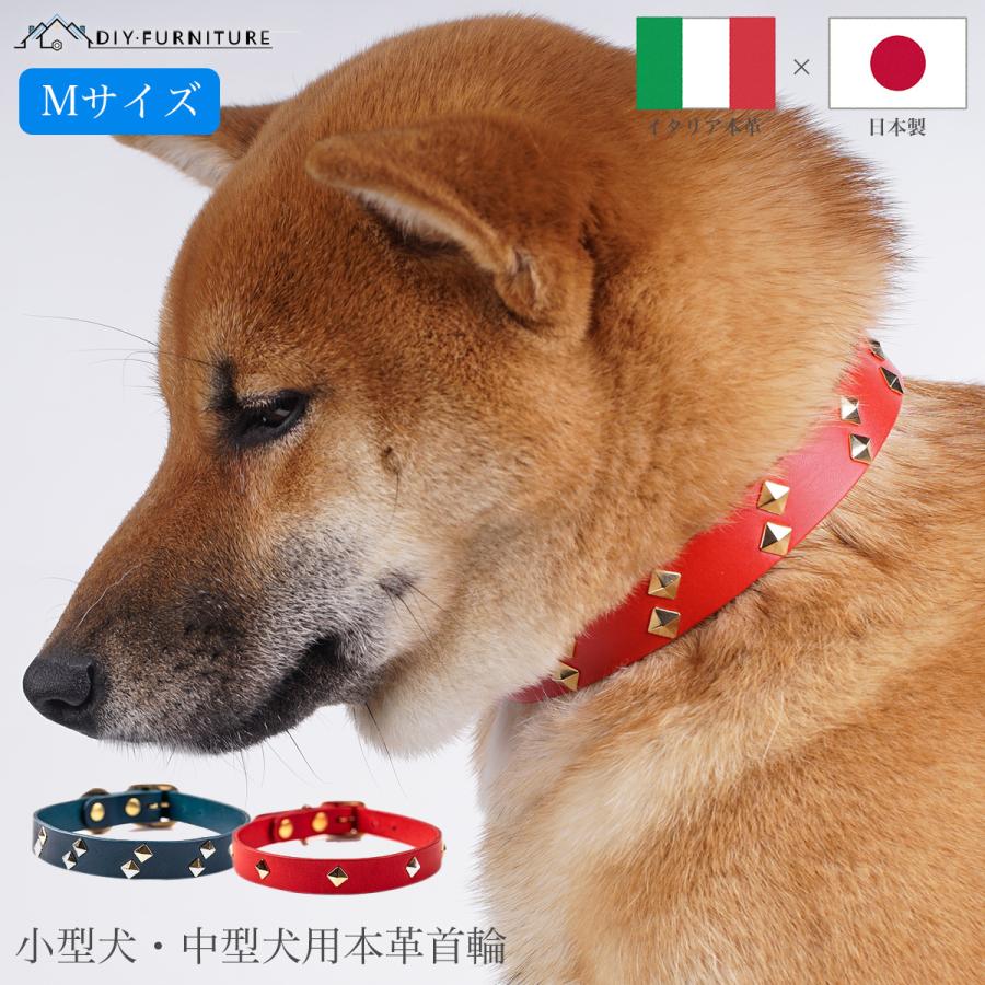 日本製 4色 スタッズ付き犬用本革首輪 Type2 ｍサイズ イタリアンレザー Buttero ブッテロ 職人ハンドメイド 小型犬 中型犬対応 リード取り付け金具付き Tepy2 M ディー 愛 ワイファニチャー 通販 Yahoo ショッピング