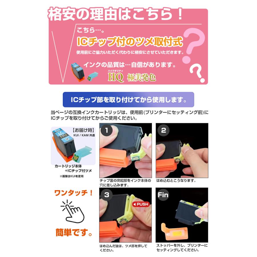 エコインク KAM-6CL-L 6色パック カメ ICチップ装着式 増量版 エプソン 