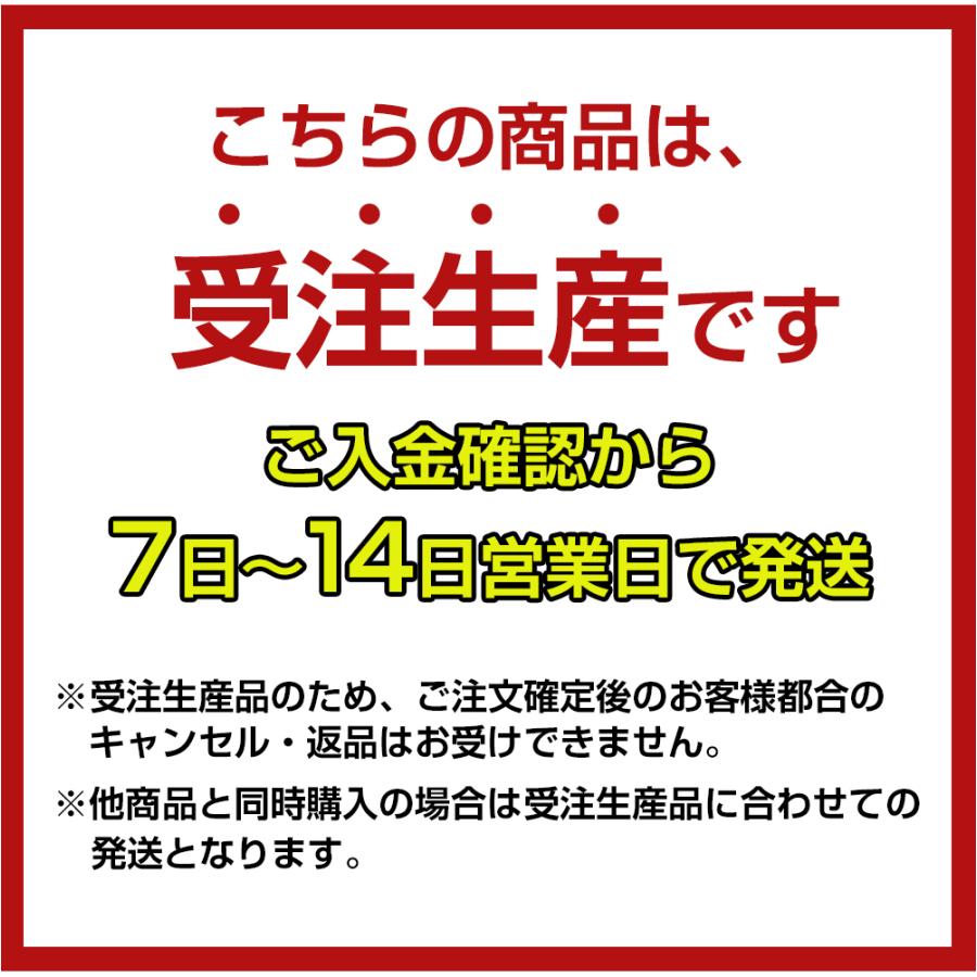 A3プリンター [ 受注生産 ]Ecoink Tank Printer CISSインク連続供給システム搭載プリンター 選べるプリンター インク100ml×6色付き ゴミ削減でエコ タンク方式｜diyink｜02