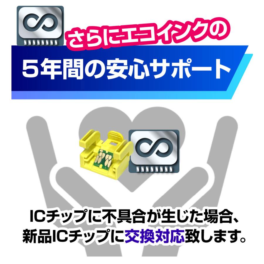 エコインク 【永久ICチップ付き】IP11B 4色 スターターセット＋1交換用