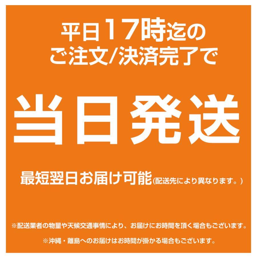 【永久ICチップ付き】IP11B 4色 スターターセット＋4交換用インクボディ【全色顔料】エプソン互換 大容量版 ip11 互換インクパック HQ Ver. PX-M887F PX-S887_1