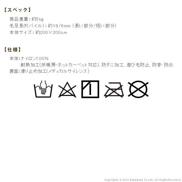 ラグ 洗える ミックスカラーラグ ルーナ 200x200cm 防ダニ 33100248 