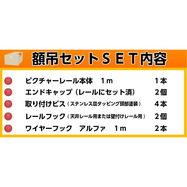 山伸 ピクチャーレールR　１ｍ 額吊セット 新型ワイヤー自在フック α (アルファ) １ｍ 額２枚分セット 天井 壁面 ワイヤーフック レールフック ＤＩＹ｜diypartner｜09