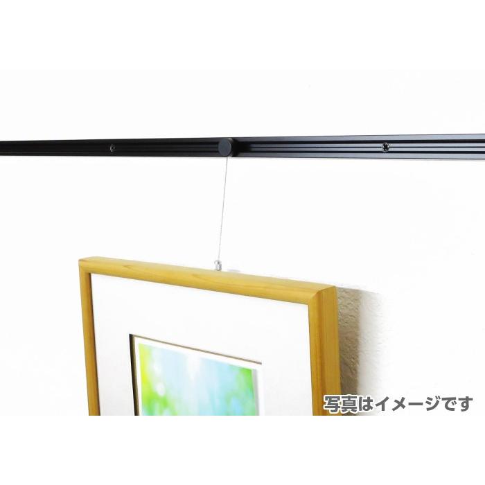 新商品 山伸 インテリアワイヤーフック ソティエ ５０ｃｍ 壁付けレール用 ピクチャーレールＲ スリムライン兼用 ＤＩＹ ピクチャーレールフック 追加｜diypartner｜10