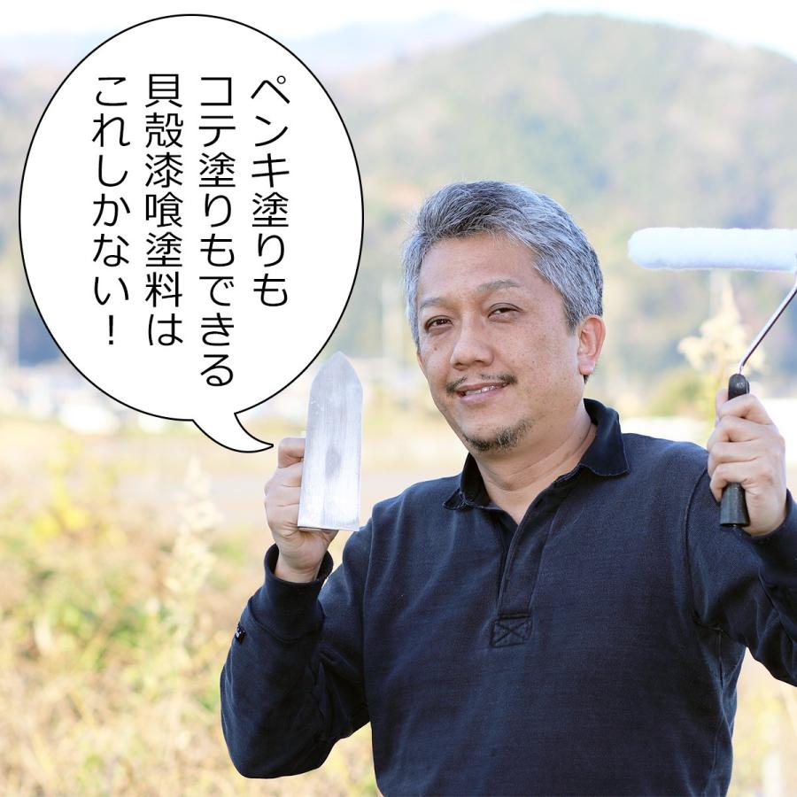 カビ対策 調湿 湿気 内装用 塗料 壁材 こて塗り Diy 左官 シェルクリーム2 5kg Spaint Diy04 Diy Style ヤフーショッピング店 通販 Yahoo ショッピング