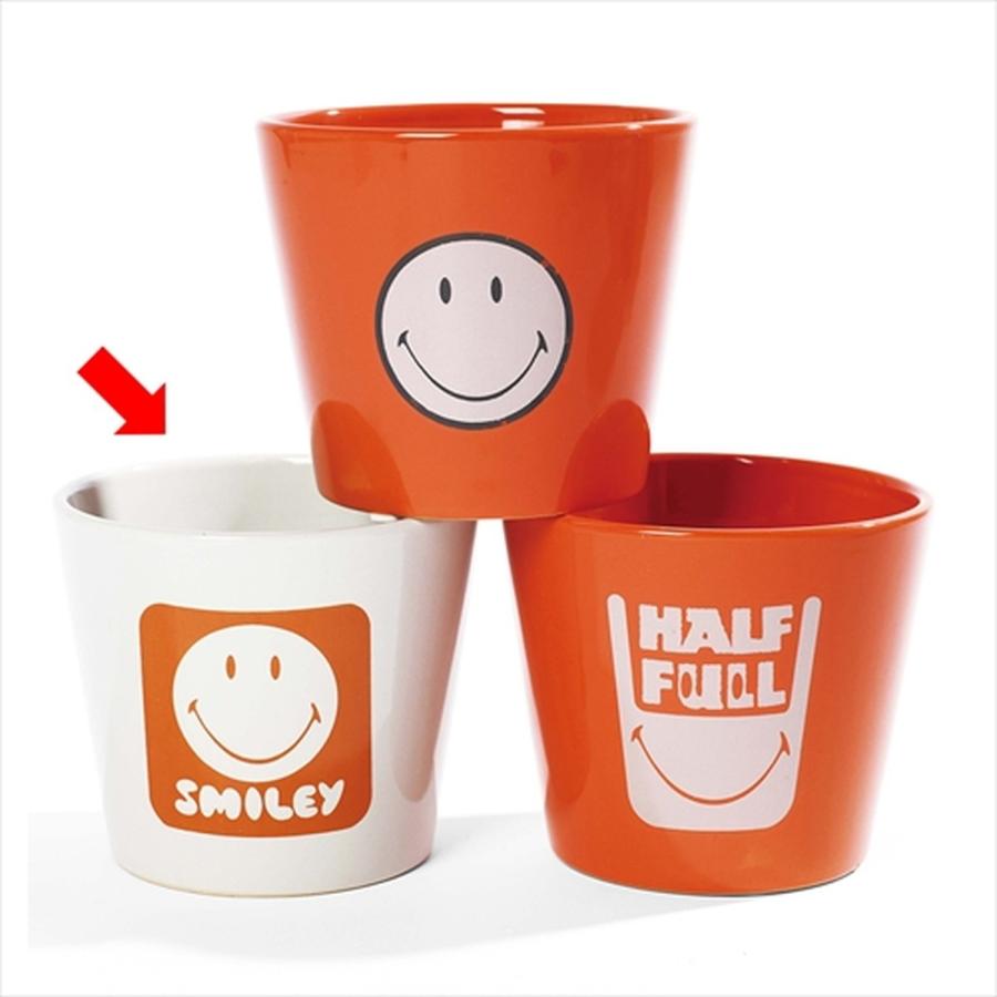 世界的にSERAX(セラックス) スマイリーポット ラージ スマイリー