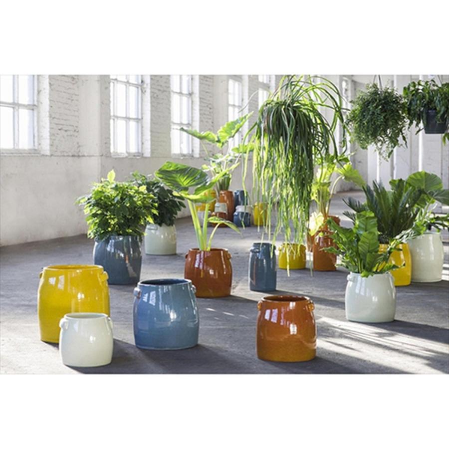 バーゲンセールSERAX(セラックス) ターボルポット D30 イエロー 1個