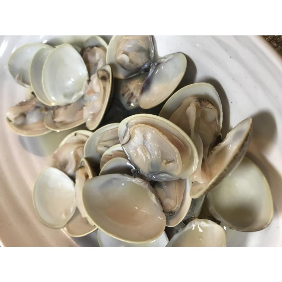 ぜんな 蛤 はまぐり 小蛤 ３キロ 九十九里産 獲れたて直送 絶品グルメ q 7 Dk House 通販 Yahoo ショッピング