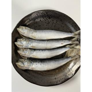 真いわしの丸干し 千葉県産 絶品いわし イワシ/DHA/EPA 真いわしの丸干し 千葉県産 絶品いわし イワシ/DHA/EPA