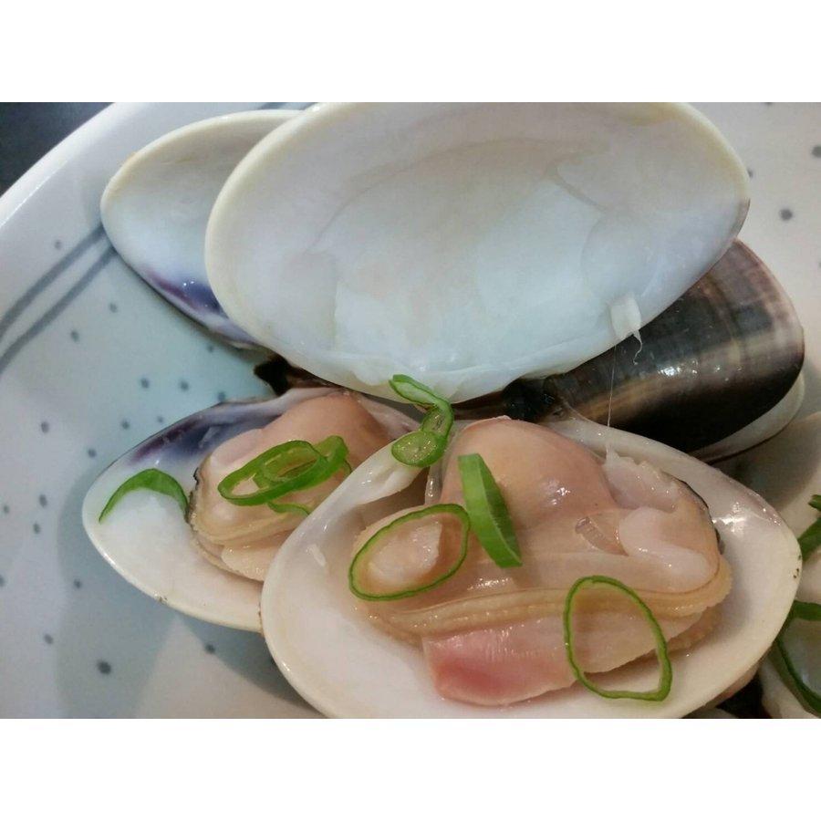 千葉九十九里産天然活はまぐり 九十九里産 中玉（中サイズ）500g 5〜8