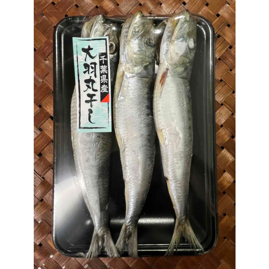大羽いわしの丸干し 千葉県産 絶品いわし イワシ/DHA/EPA 大羽いわしの丸干し 千葉県産 絶品いわし イワシ/DHA/EPA