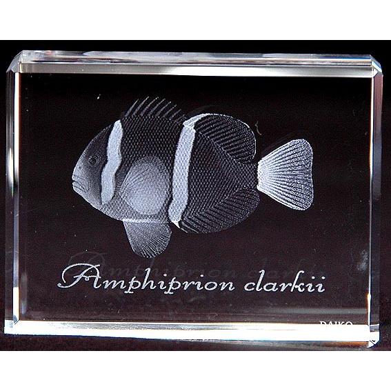 クマノミ−魚3Dクリスタルアート | 