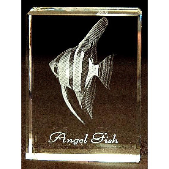 エンゼルフィッシュ−魚3Dクリスタルアート | 