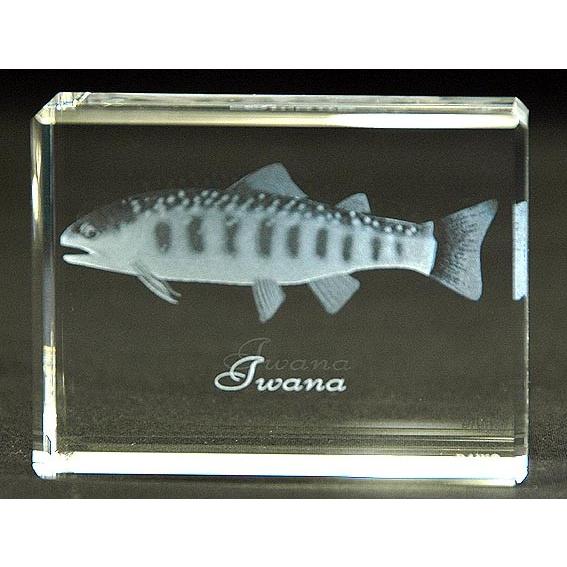 岩魚−魚3Dクリスタルアート | 