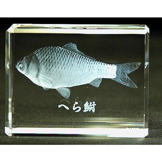 へら鮒−魚3Dクリスタルアート | 