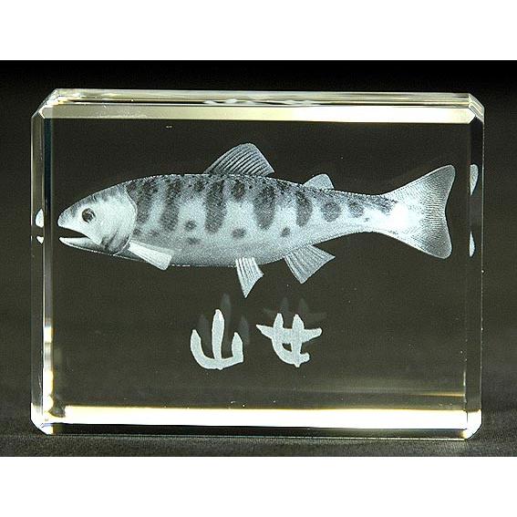 山女-魚3Dクリスタルアート | 