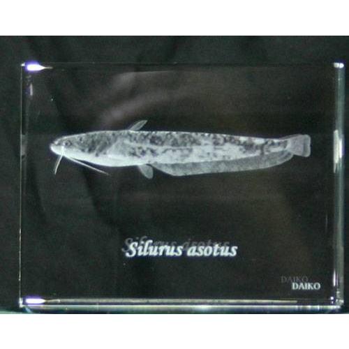 なまず-魚3Dクリスタルアート | 