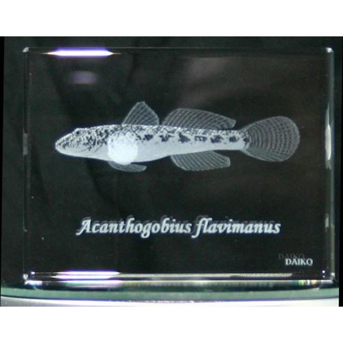 ハゼ−魚3Dクリスタルアート | 