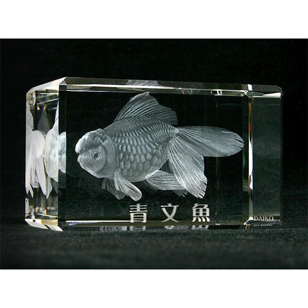 青文魚(セイブンギョ) : DK-CRYSTAL - 通販 - Yahoo!ショッピング