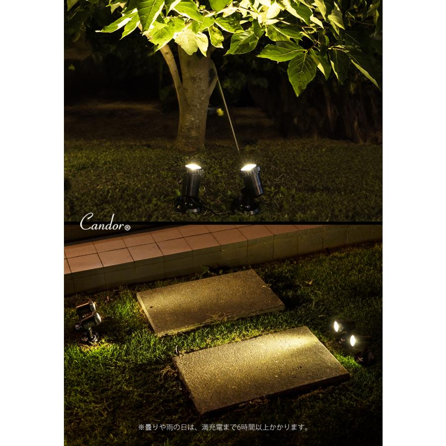 ソーラー ライト 屋外 Candor(R) 明るい IP68 防水 LEDスポットライト ガーデンライト 温暖色２灯 ソーラー ライト センサーライト 屋外 led  防水 柊 | Candor | 06