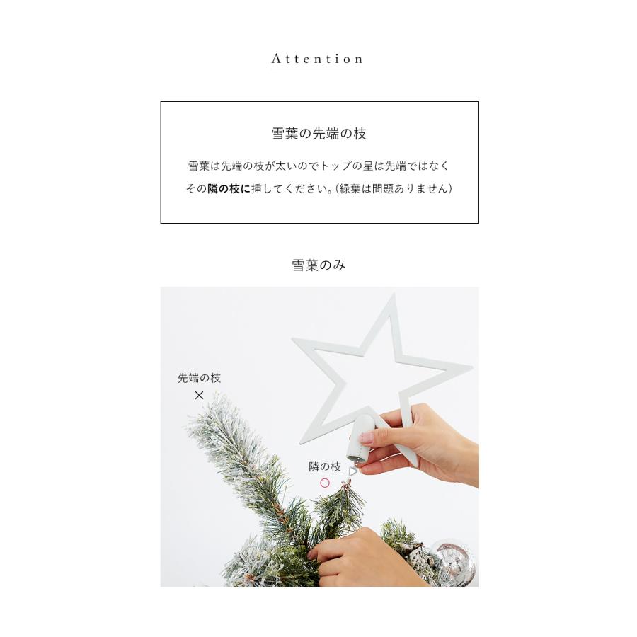 完売　　天然野生の可愛い【柊さんと樅の木さんセット】柊＊樅の木＊クリスマスツリー 完売 天然野生の可愛い【柊さんと樅の木さんセット】柊＊樅