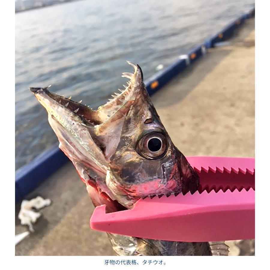 太刀魚 ジギング ワイヤー チタンリーダー ストレート スーパーライトジギング タチウオ サワラ ヒラメ サゴシ 25cm 2本入 柊 |  | 10