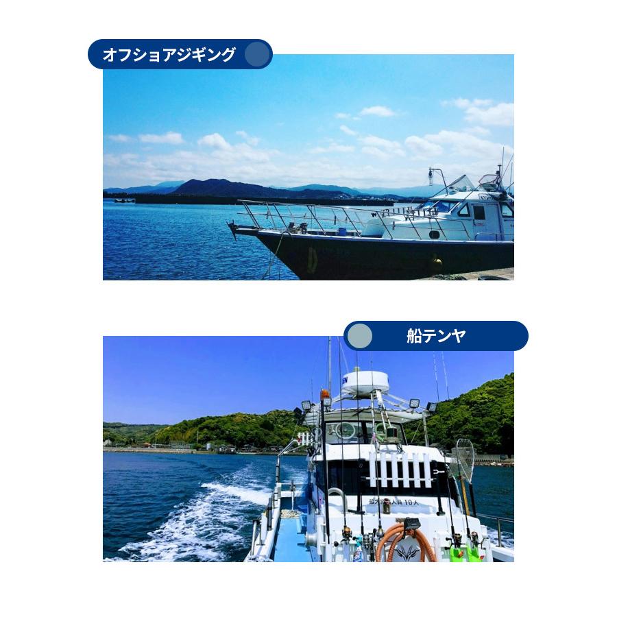 太刀魚 ジギング ワイヤー チタンリーダー ストレート スーパーライトジギング タチウオ サワラ ヒラメ サゴシ 25cm 2本入 柊 |  | 04