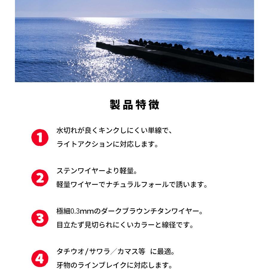太刀魚 ジギング ワイヤー チタンリーダー ストレート スーパーライトジギング タチウオ サワラ ヒラメ サゴシ 25cm 2本入 柊 |  | 07
