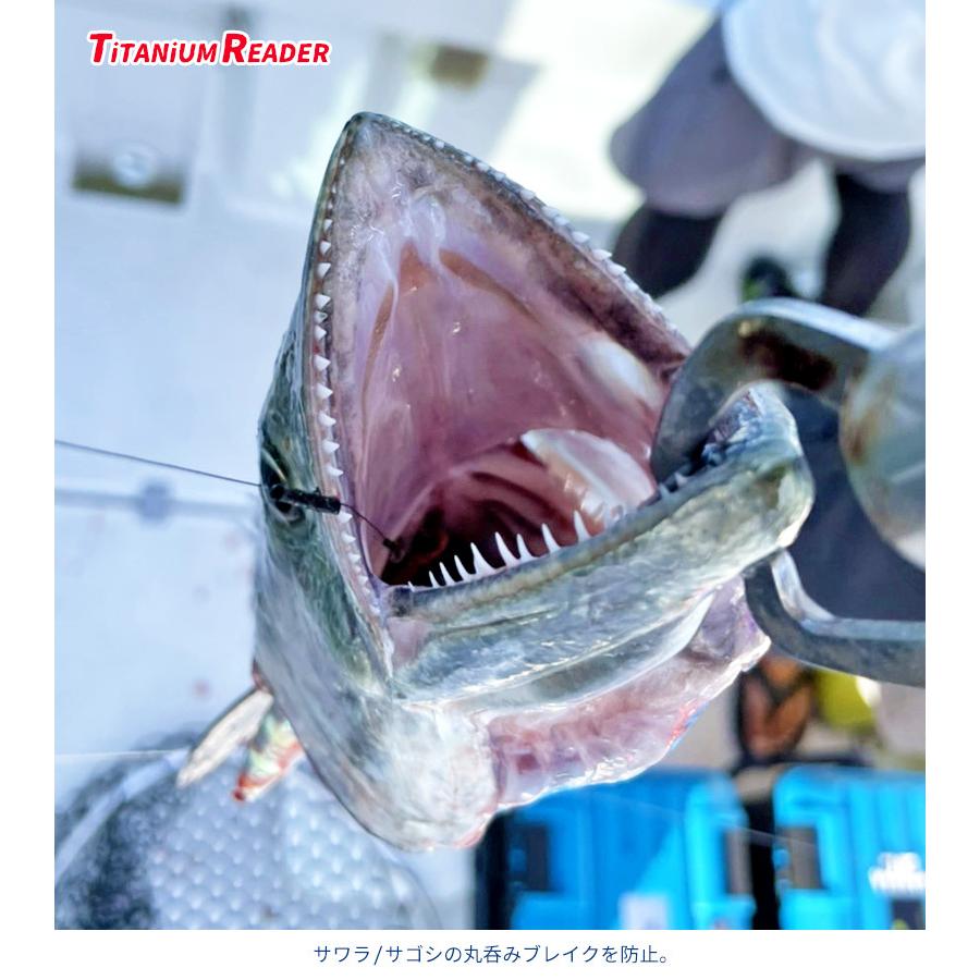 サワラ　太刀魚用　ジグ TF－F3 サワラ太刀魚キャスティング先糸 | 株式会社オーナー