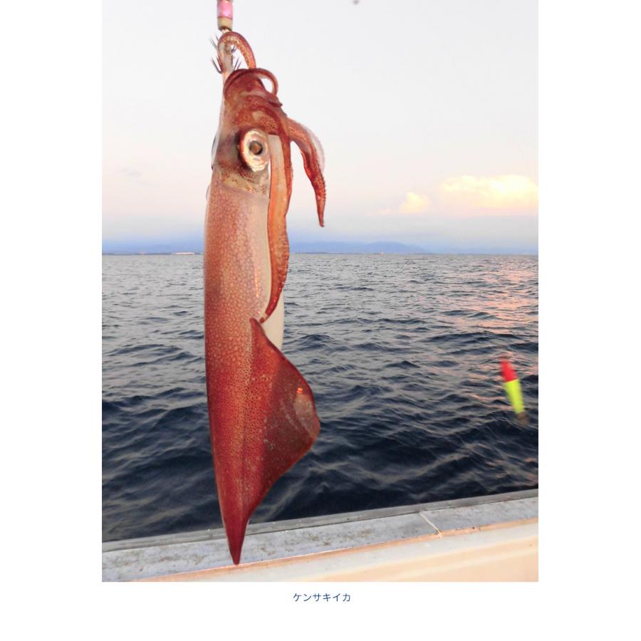 イカメタル イカ釣り ワイヤー チタンリーダー ワイヤー リーダー 100cm 2本入り 釣り糸 フィッシング オモリグ天秤 柊 |  | 12