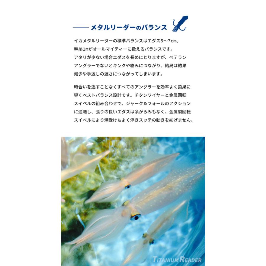 イカメタル イカ釣り ワイヤー チタンリーダー ワイヤー リーダー 100cm 2本入り 釣り糸 フィッシング オモリグ天秤 柊 |  | 07