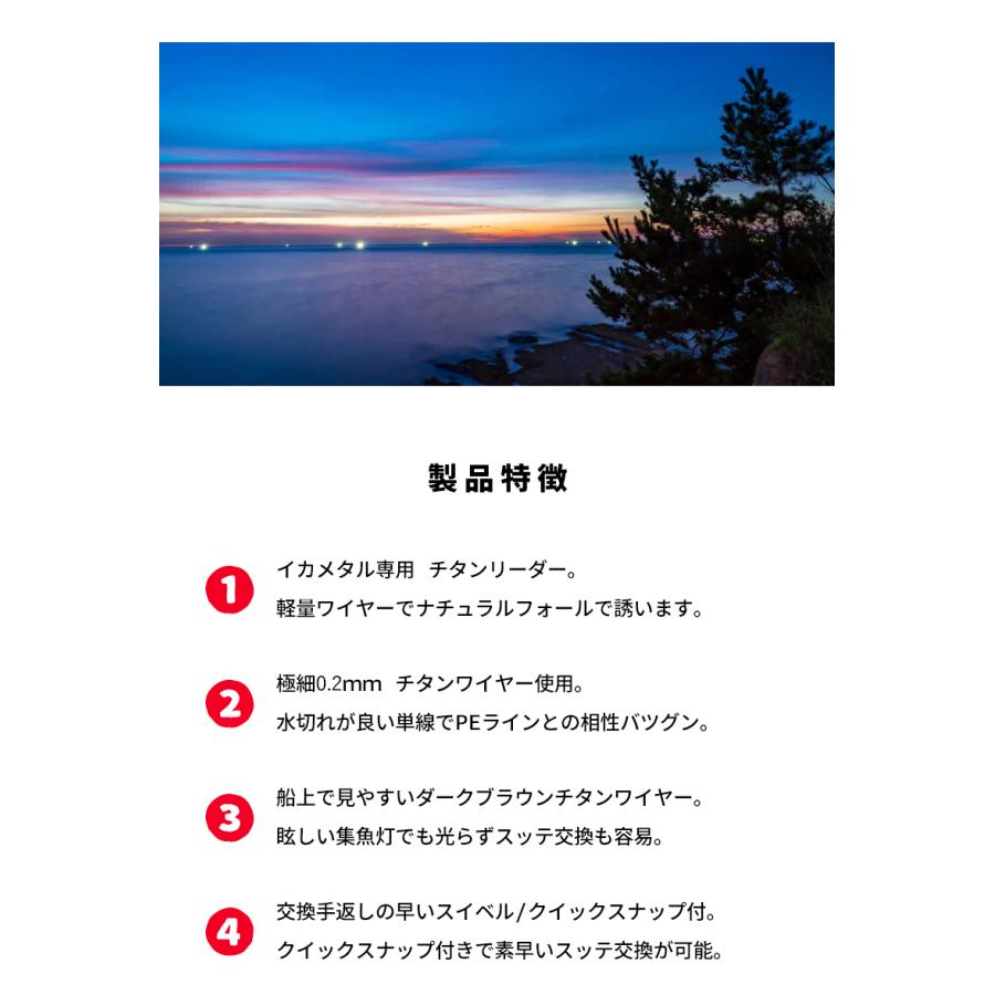 イカメタル イカ釣り ワイヤー チタンリーダー ワイヤー リーダー 100cm 2本入り 釣り糸 フィッシング オモリグ天秤 柊 |  | 08